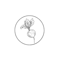 Gina Langini - Ganzheitliche Ernährungs- und Gesundheitsberatung